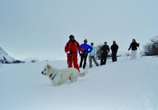  在大自然的中心 